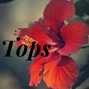 Tops 👚👕 : tshirts, tank tops, long sleeve shirts